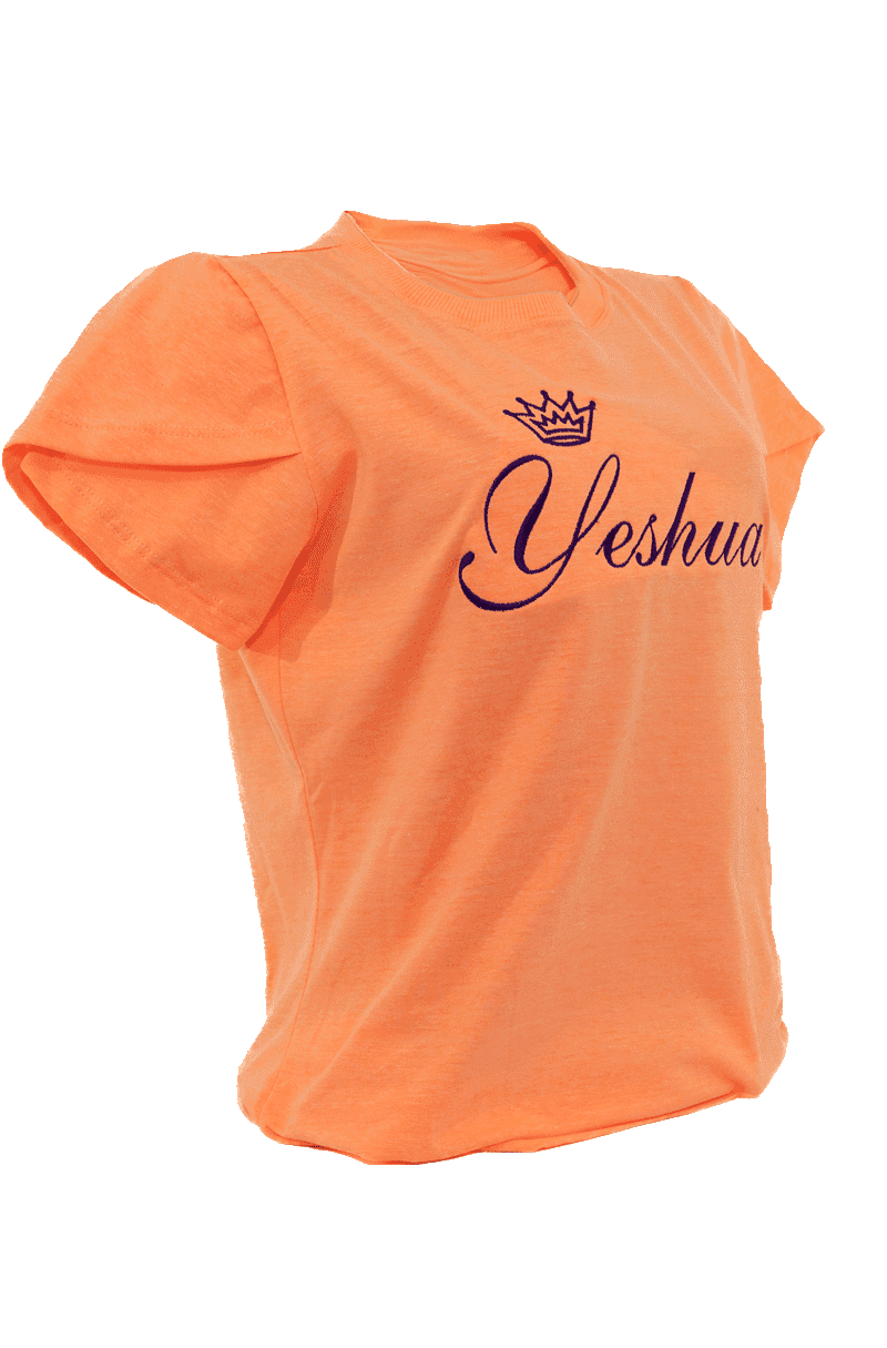 Camiseta Gratidão
